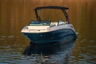 Thumbnail von Sea Ray SDX 250