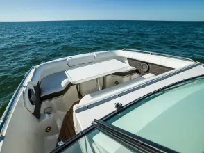 Thumbnail von Sea Ray SDX 250