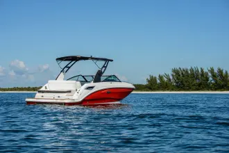 Thumbnail von Sea Ray SDX 250
