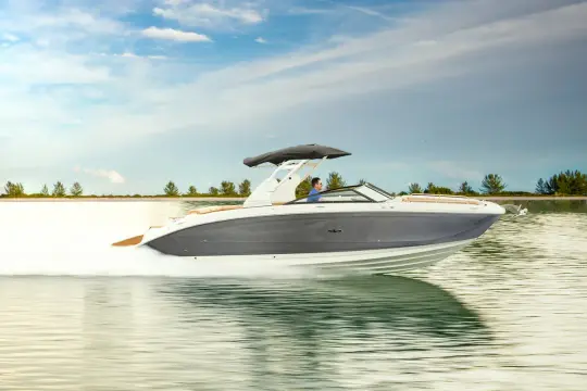 Sea Ray SDX 290  Sea Ray SDX 290