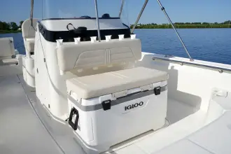 Thumbnail von Boston Whaler 210 Montauk