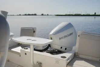 Thumbnail von Boston Whaler 210 Montauk