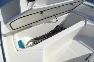 Thumbnail von Boston Whaler 210 Montauk