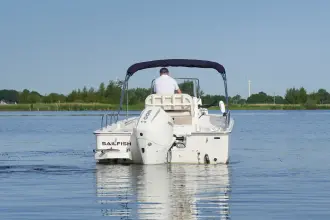 Thumbnail von Boston Whaler 210 Montauk