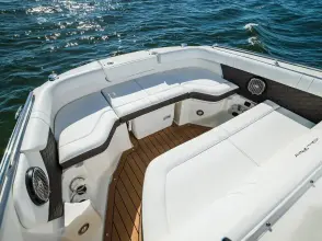 Thumbnail von Sea Ray SDX 250 Outboard