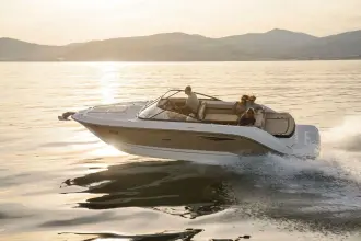 Thumbnail von Sea Ray Sun Sport 250