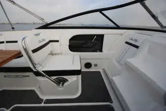 Thumbnail von Sea Ray Sun Sport 250
