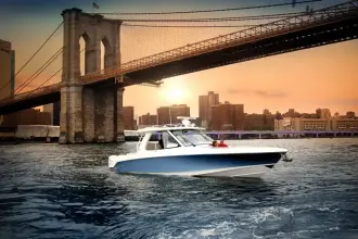 Thumbnail von Boston Whaler 380 Realm