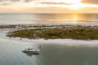 Thumbnail von Boston Whaler 380 Realm
