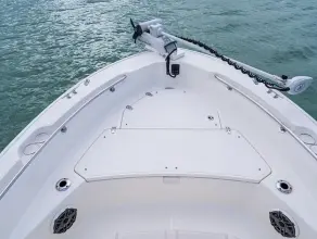 Thumbnail von Boston Whaler 220 Dauntless
