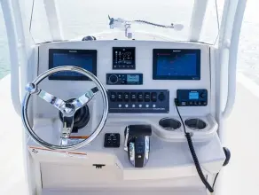 Thumbnail von Boston Whaler 220 Dauntless