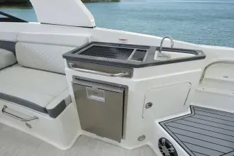 Thumbnail von Sea Ray SDX 290 Outboard