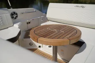 Thumbnail von Sea Ray SDX 250 Outboard