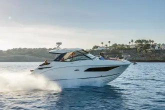 Thumbnail von Sea Ray Sundancer 320