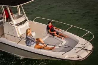 Thumbnail von Boston Whaler 250 Dauntless