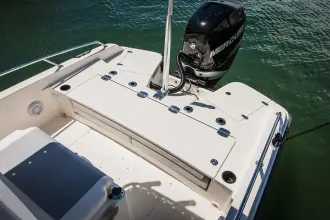 Thumbnail von Boston Whaler 250 Dauntless
