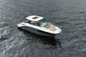 Thumbnail von Sea Ray Sundancer 320