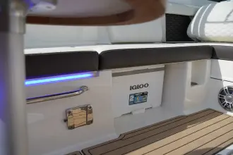 Thumbnail von Sea Ray SDX 290 Outboard