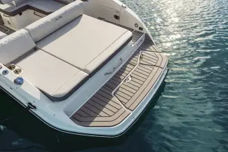 Thumbnail von Sea Ray SDX 250