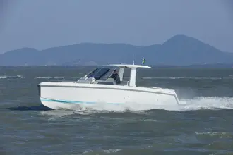 Schaefer V33
