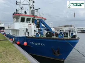 Thumbnail von De Hogstean 26 Hogstean