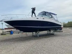 Thumbnail von Sea Ray 375 Sundancer