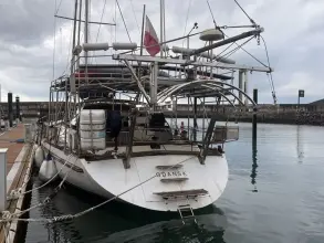 Thumbnail von Fokus 23M Sloop FOKUS