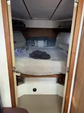 Thumbnail von Sealine SC35