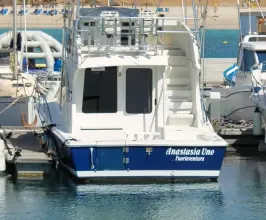 Luhrs 34 Convertible