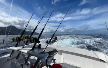 Thumbnail von Hatteras 39 Convertible