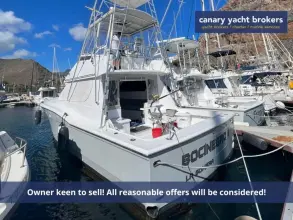 Thumbnail von Hatteras 39 Convertible