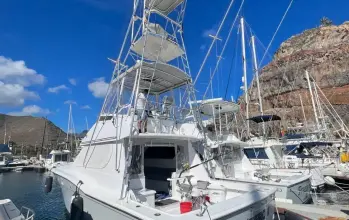 Thumbnail von Hatteras 39 Convertible
