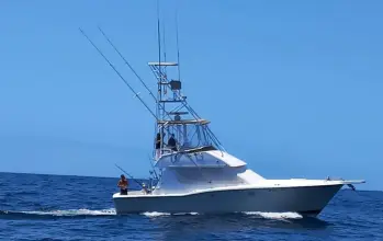 Thumbnail von Hatteras 39 Convertible