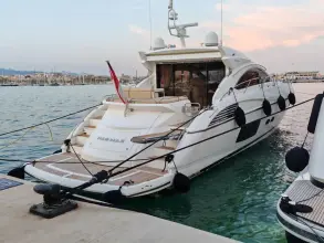 Thumbnail von Sunseeker Predator 60 MAD MAX