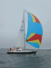 Thumbnail von Nauticat 385