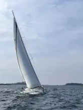 Saare 38