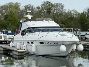 Thumbnail von Sealine F43 Popular Flybridge Cruiser