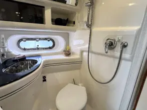Thumbnail von Sealine F43 Popular Flybridge Cruiser