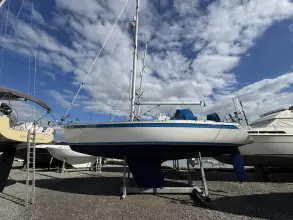 Thumbnail von Sweden Yachts 390 BLUE ICE