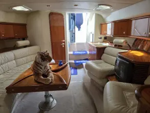 Thumbnail von Sunseeker Superhawk 48 Whisky Romeo
