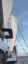 Thumbnail von Bali Catspace MY