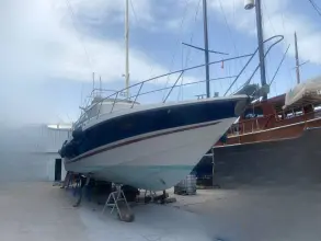 Thumbnail von Sunseeker Predator 60