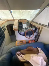 Thumbnail von Sunseeker Predator 60
