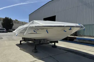 Thumbnail von Sea Ray SPX 190