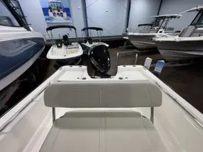 Thumbnail von Boston Whaler 210 Montauk
