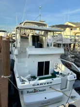 Thumbnail von Carver 	41 Cockpit Motoryacht
