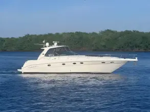 Thumbnail von Sea Ray 460 Sundancer