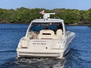 Thumbnail von Sea Ray 460 Sundancer