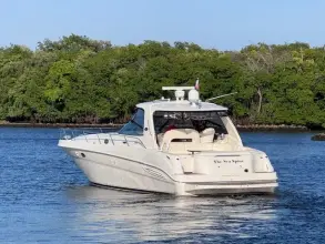 Thumbnail von Sea Ray 460 Sundancer