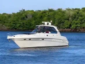 Thumbnail von Sea Ray 460 Sundancer